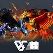 Sabong cwin555 hot
